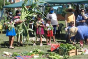 Se realizó la Jornada de Intercambio de Semillas y Talleres de Huerta del FOL