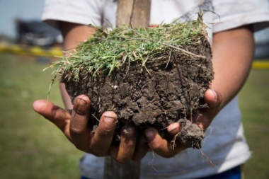 Día de la Pachamama: un grito contra la destrucción ambiental