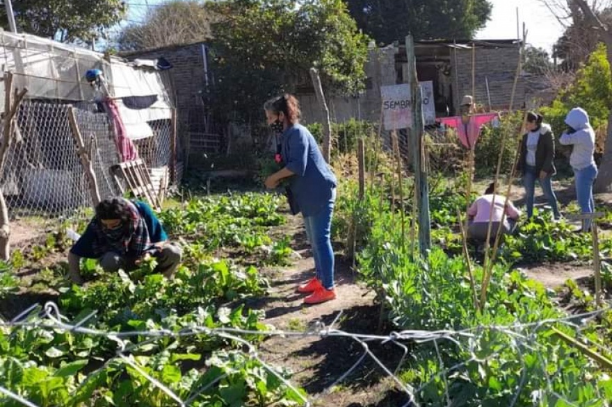 La huerta de Bajada Grande