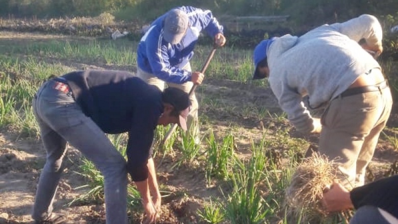 Formosa: intensifican trabajos en huertas para conservar cosechas