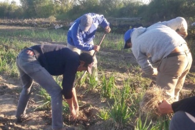 Formosa: intensifican trabajos en huertas para conservar cosechas