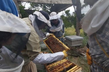 Crece la producción apícola gracias al aprendizaje colectivo