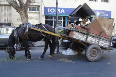 La importación de residuos afecta principalmente a los cartoneros