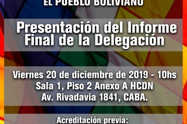 Presentación del informe final de la Delegación en Solidaridad con Bolivia