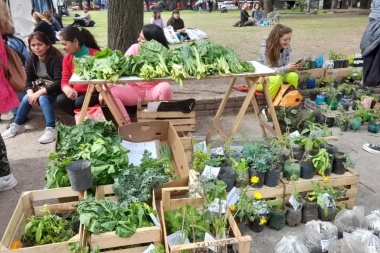 Las huertas cooperativas de los barrios desembarcaron en Plaza San Martín