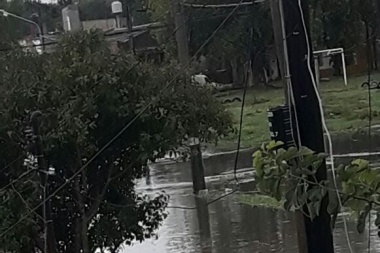 Desidia estatal en Almirante Brown: Viviendas inundadas con agua contaminada