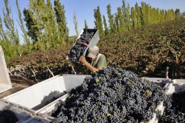 Trabajadorxs golondrinas de Río Negro varadxs en Mendoza